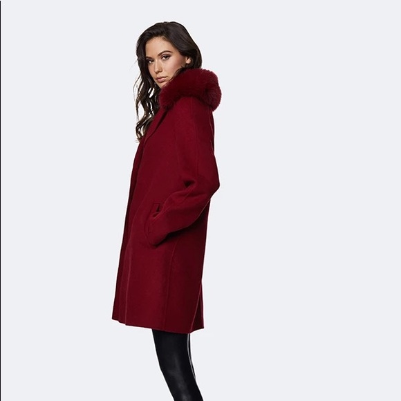 Dawn Levy Cecilia Coat - Picture 3 of 6